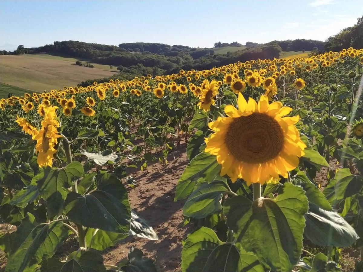 Les Gites De Campardon Monties Exterior foto
